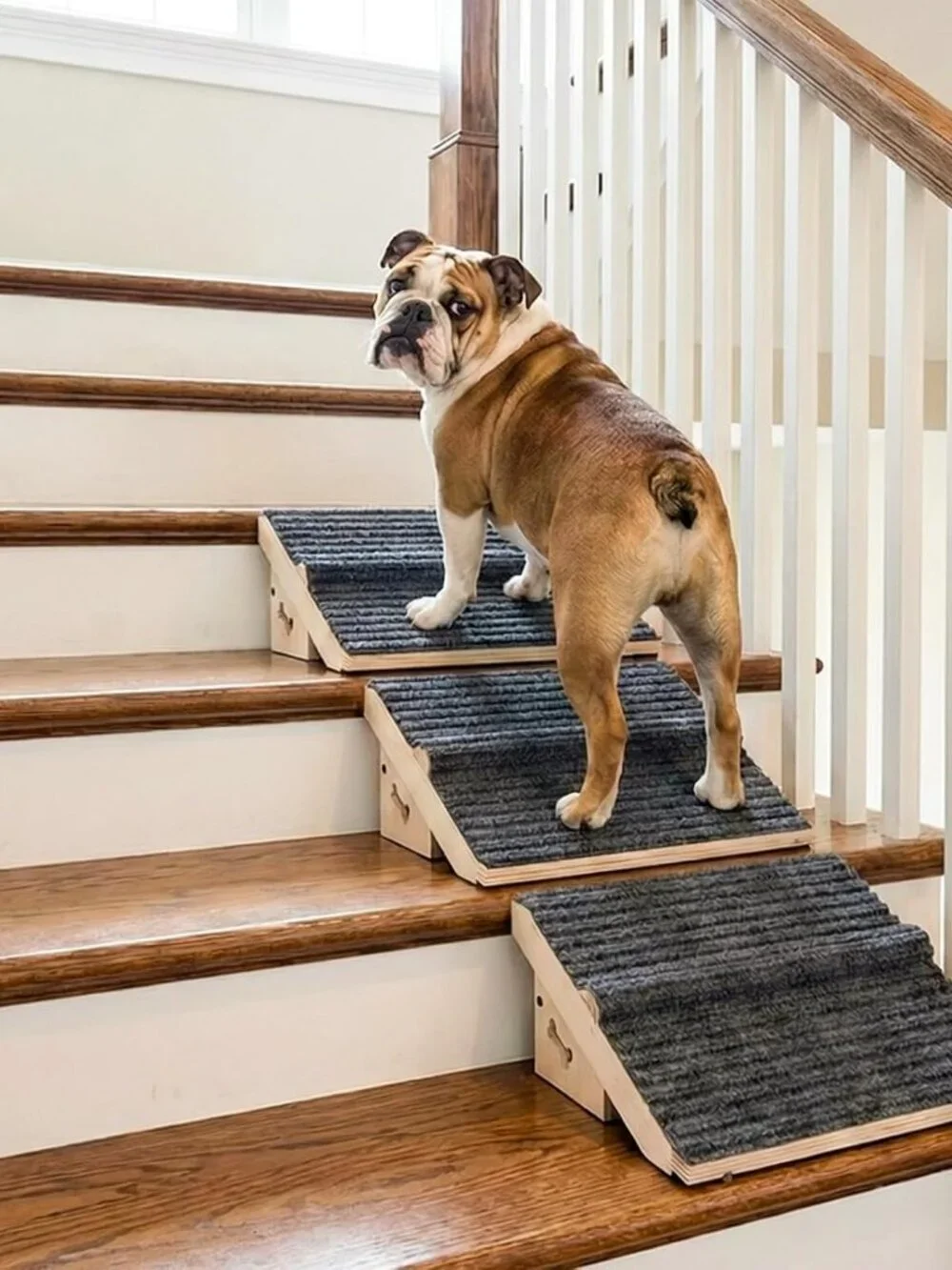 3 Pack Wooden Dog Ramp for Stairs,Friendly to Short-Legged/Small/Injured